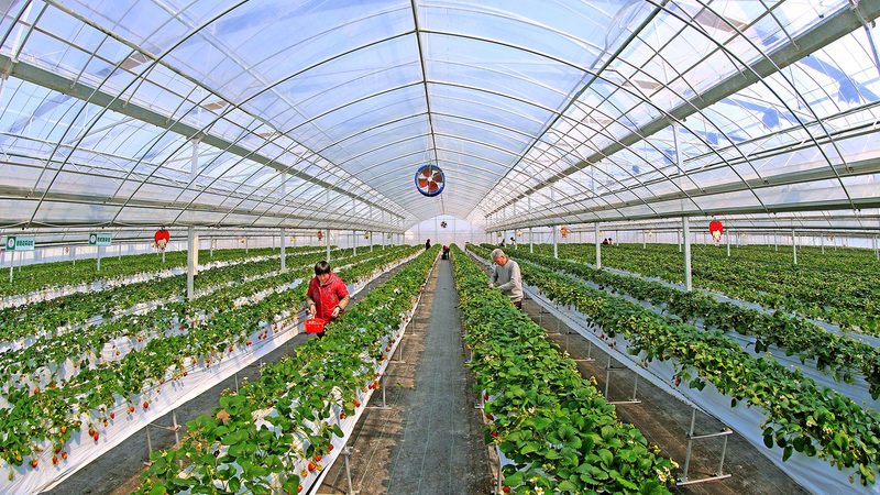 实际上，针对零基础的种植培训课程，通常具有以下特点：