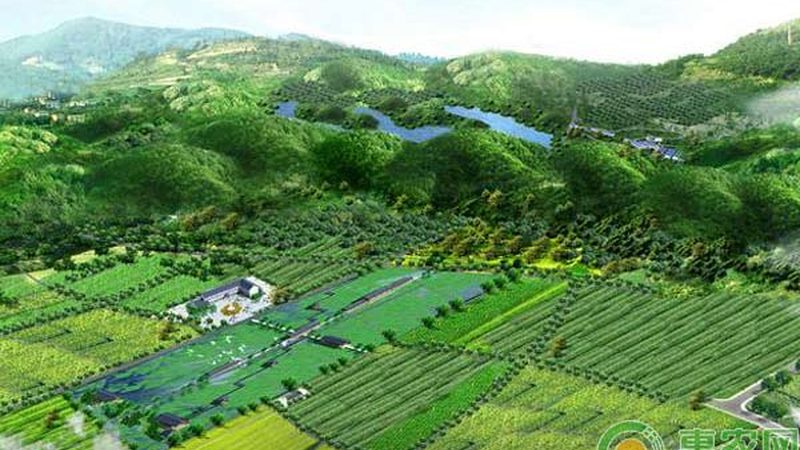 农产品代理加盟：如何挑选优质产品，规避市场风险**