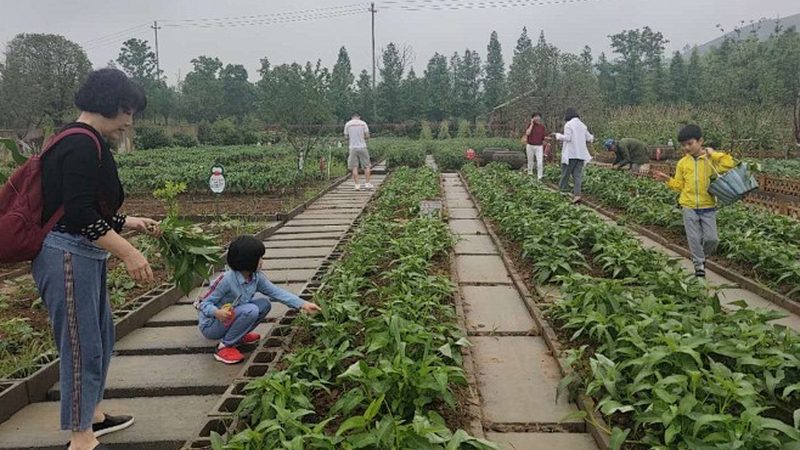 农资批发许可证需要哪些材料