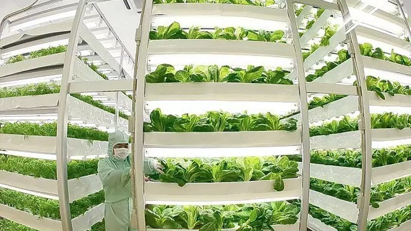 家庭食材配送加盟前先看清这五个门槛