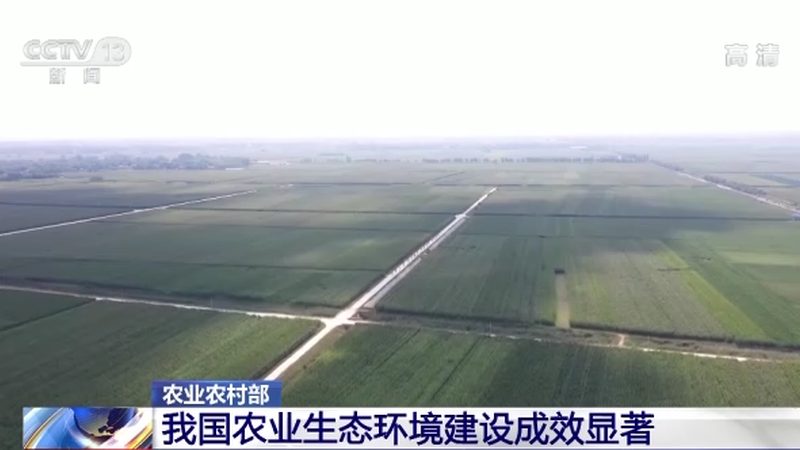 绿色食品批发市场货源：如何选择优质绿色食品