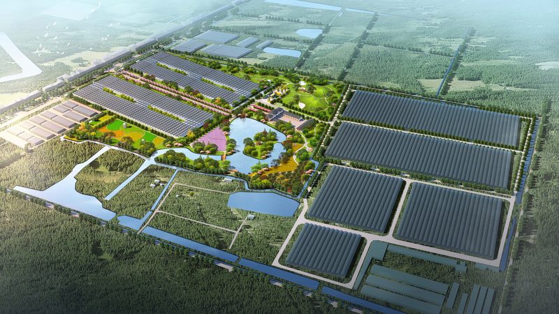 大棚种植成本解析：一亩多少钱的真相**