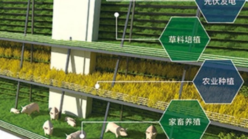 微量元素肥在农业种植中的关键作用**