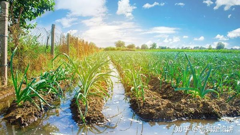 家庭农场主必备：种植技术设备选购的三大误区解析