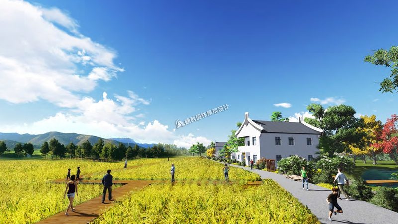 河南农资厂家肥料规格型号解析：如何科学选择**