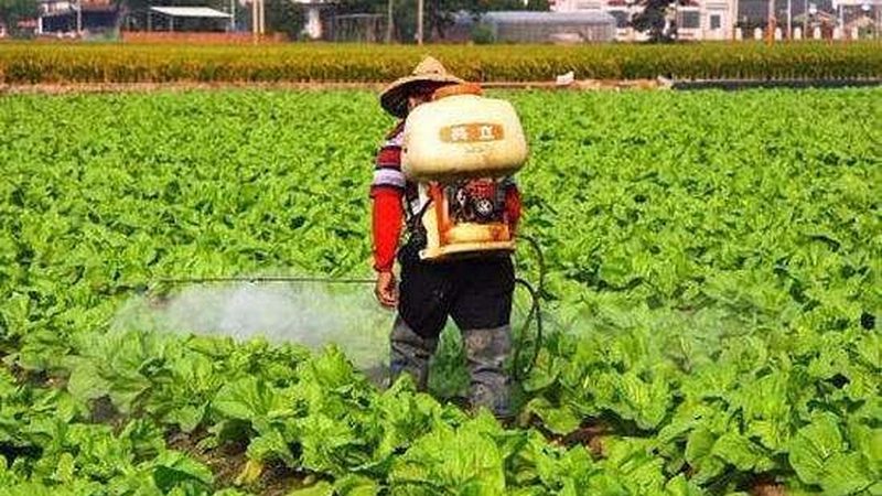 申请农业产业园补贴，首先需要拥有符合要求的土地。具体要求包括：