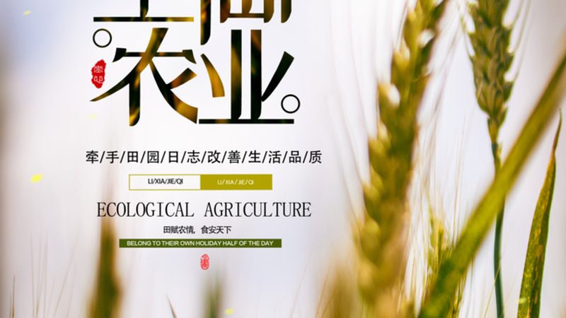 农业大棚安装，报价清单背后的考量因素